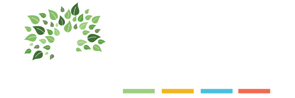 CareCFO Logo