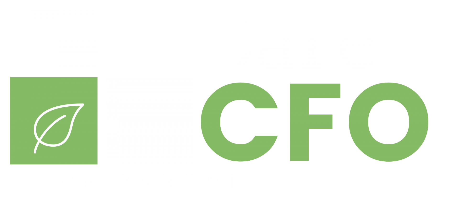 CareCFO Logo Link